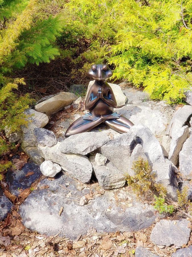 New Buddha Bing Unique Experience Cottage And Cabins Tobermory Luaran gambar